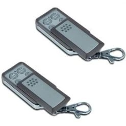 Pack De 2 Télécommandes AVIDSEN 114253 Pour Portail Et Porte De Gara...